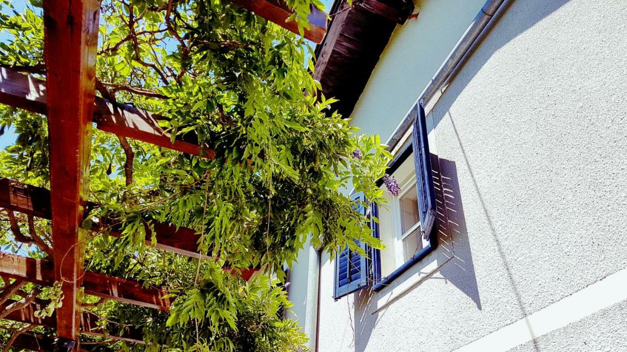 Apartments Panoramic ロヴラン エクステリア 写真